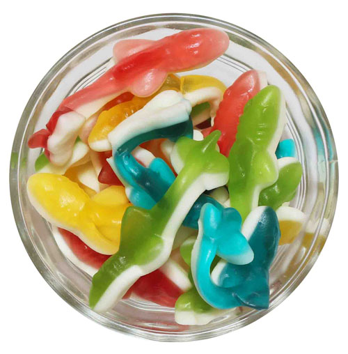 Fini Clear Sharks 300g (Set of 2)